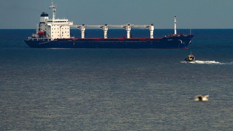 Ankara: Rus muhataplarımız, Türk şirketine ait gemiye müdahaleyle ilgili ikaz edilmiştir