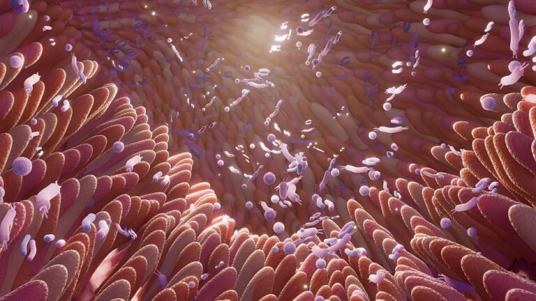 Araştırma: En yaygın çocukluk alerjilerinin kaynağı bağırsaklarda yatıyor