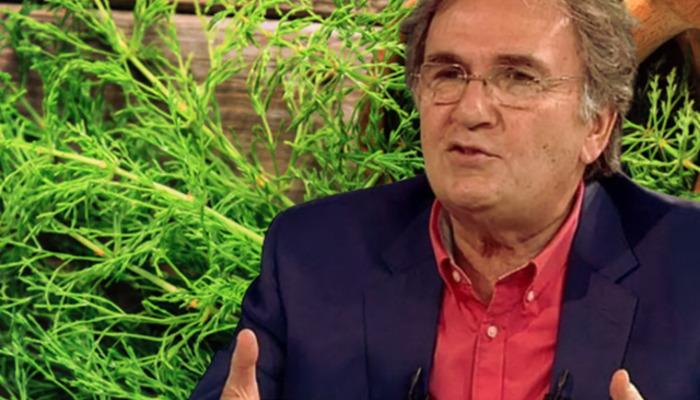 İbrahim Saraçoğlu Japonların en sevdiği bitkiyi açıkladı! Faydaları saymakla bitmiyor