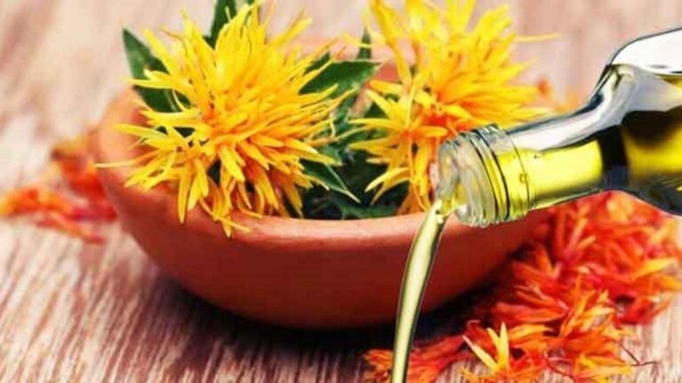 Aspir Yağının Faydaları Nelerdir? Neye İyi Gelir? Aspir Yağının Az Bilinen Faydaları