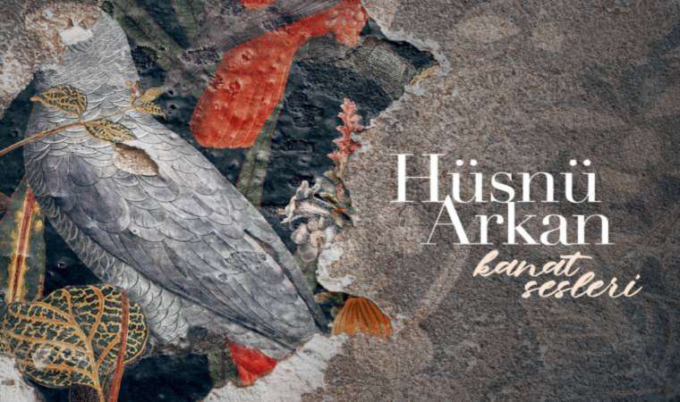 Vitrindeki albümler