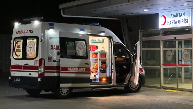 Ceviz toplamak için çıktığı ağacından düşüp hayatını kaybetti