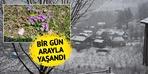 Dün güneşli havanın tadını çıkardılar! Sabah...