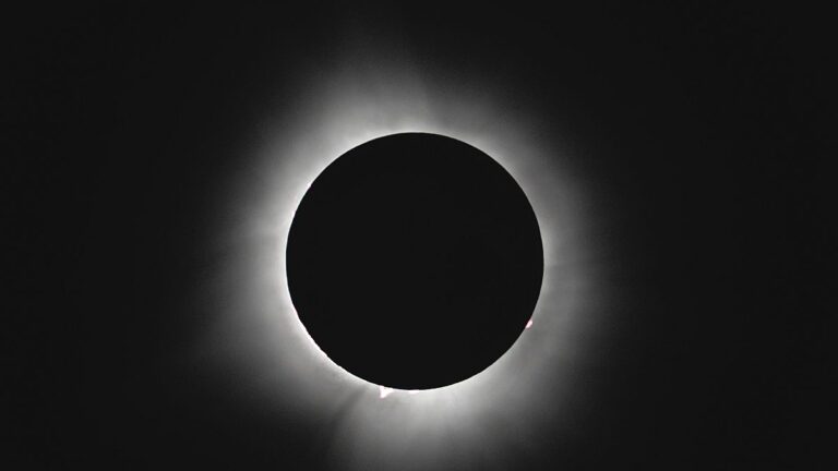 Fotoğraflarla tam güneş tutulması | Euronews