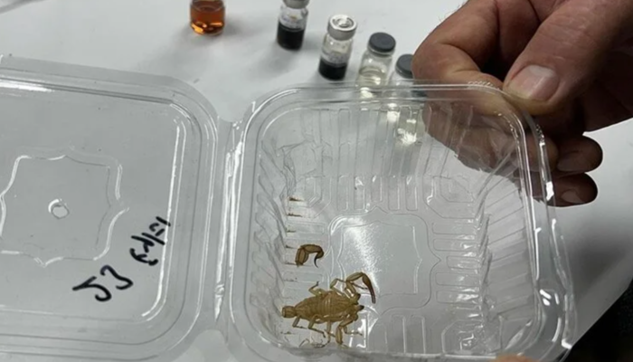 Akrep derisinden üretildi! Astronotlara özel… Bakın ne için kullanılacak