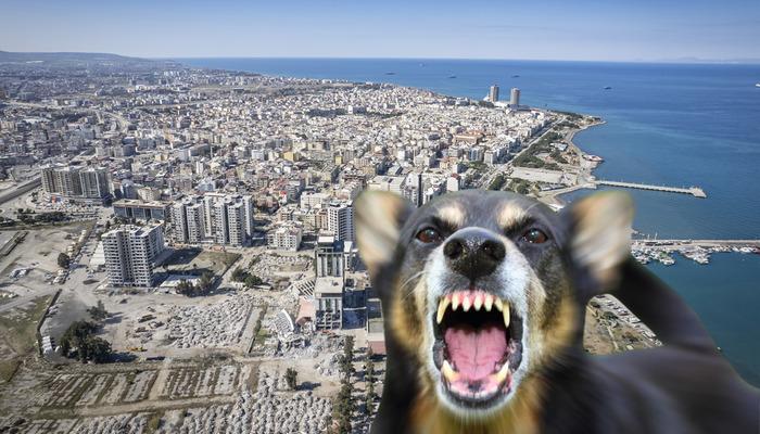 Kuduz alarmı: 2 mahalle karantinaya alındı! Giriş ve çıkışlar yasaklandı