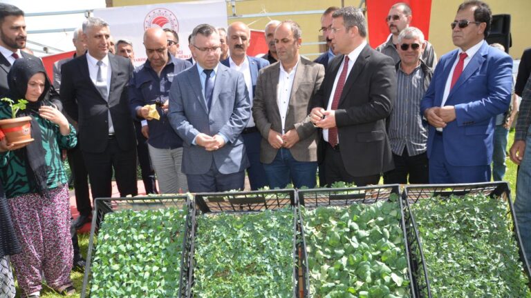 Hakkari’nin Yüksekova ilçesinde çiftçilere 109 bin fide dağıtıldı