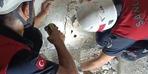 Operazione da pulcino dei vigili del fuoco!