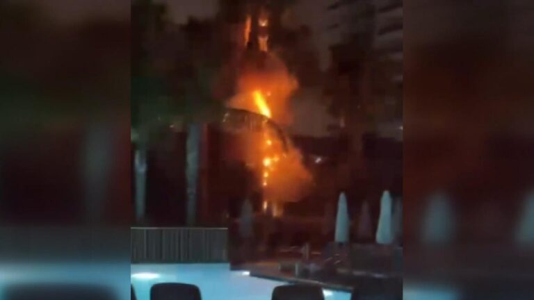 Antalya’da ağaca yıldırım düştü – Son Dakika Haberleri