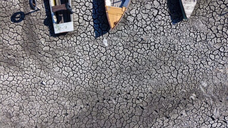 Macaristan’da aşırı sıcakların yol açtığı kuraklık tarıma büyük zarar veriyor