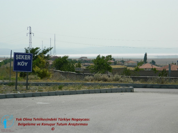 İsimlerinin anlamı şu