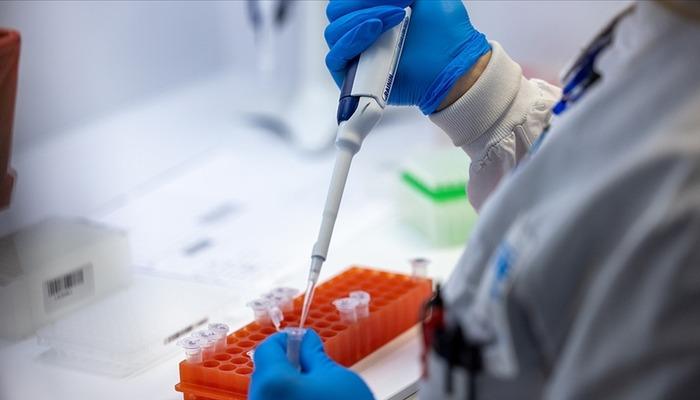 DSÖ ‘şimdiye kadarki en tehlikeli varyant’ olarak açıklamıştı! O ülkede de görüldü