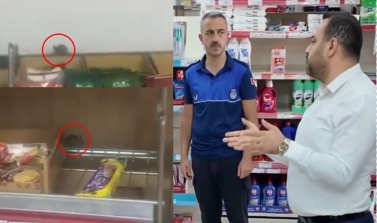 Raflarında farelerin gezdiği A101 şubesi mühürlendi… ‘Abartıldığı kadar yok ama…’ – Son Dakika Türkiye Haberleri