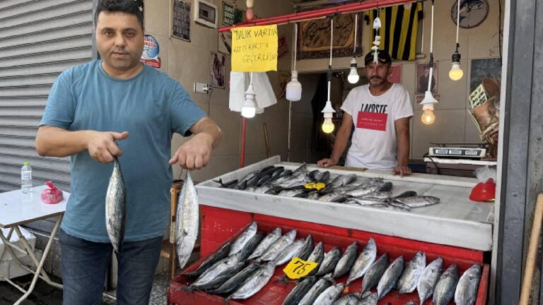 Zonguldak’ta deniz av sezonu palamut bereketiyle başladı