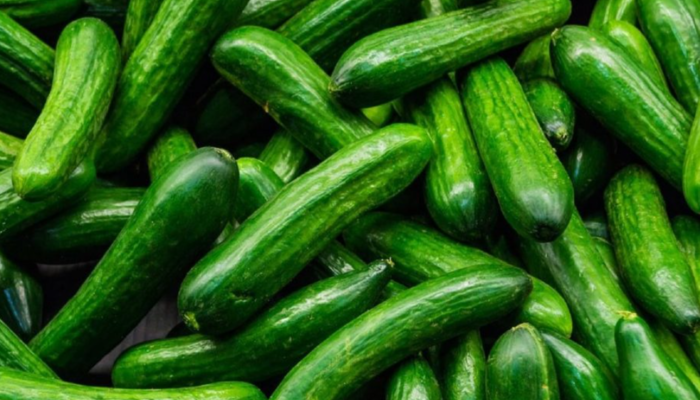 Salatalıkta salmonella salgını: 68 kişi hastalandı, 18 kişi hastaneye kaldırıldı! ‘Derhal iade edin’