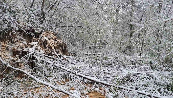 Heyelandan kapanan yol yeniden ulaşıma açıldı