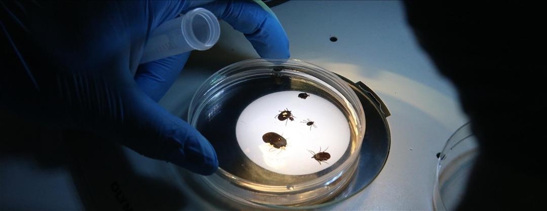 thumbs_b_c_ecca99f9462080bf07b64c01c3984b73b