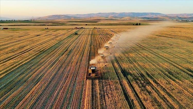 Çiftçilere 42 milyon euroluk destek verilecek