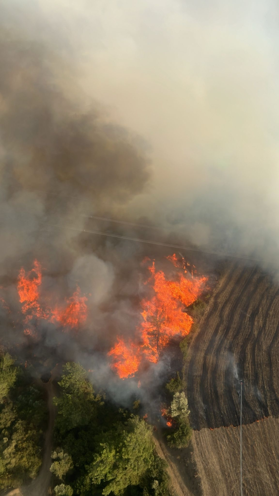 Çanakkale ve Adana'nın ateşleri büyük ölçüde kontrol altında