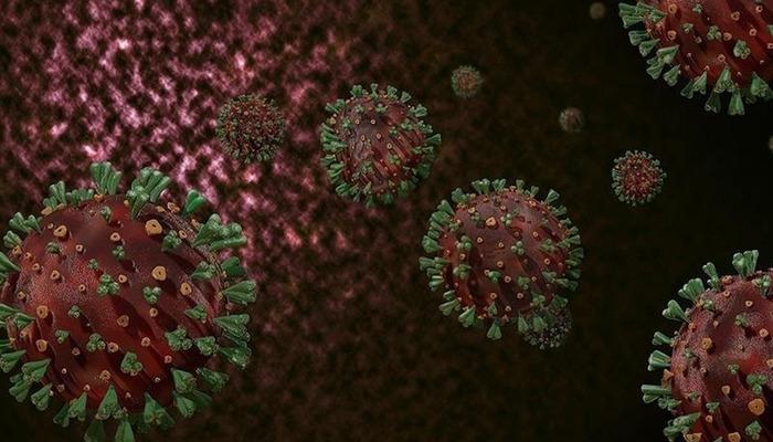 Gana’da M çiçeği virüsü yayılıyor! Vaka sayısı 500’ü geçti